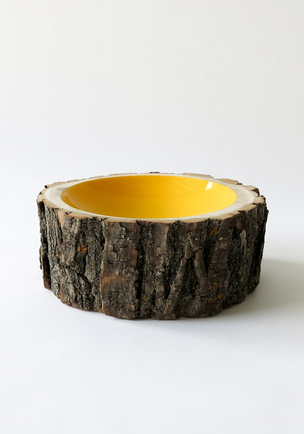Size 10 Log Bowl - Large Wooden Bowl with rough bark, glossy interior is Lemon yellow.