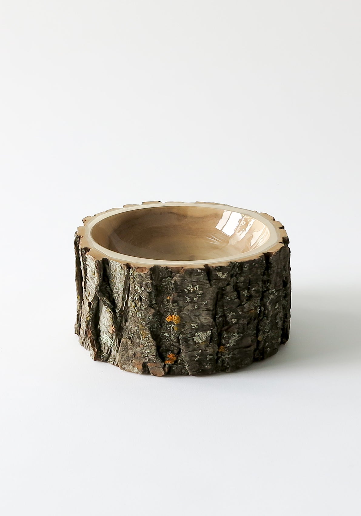 Size 6 Log Bowl - medium wooden bowl with rough bark, glossy interior is clear, highlighting the natural wood grain.