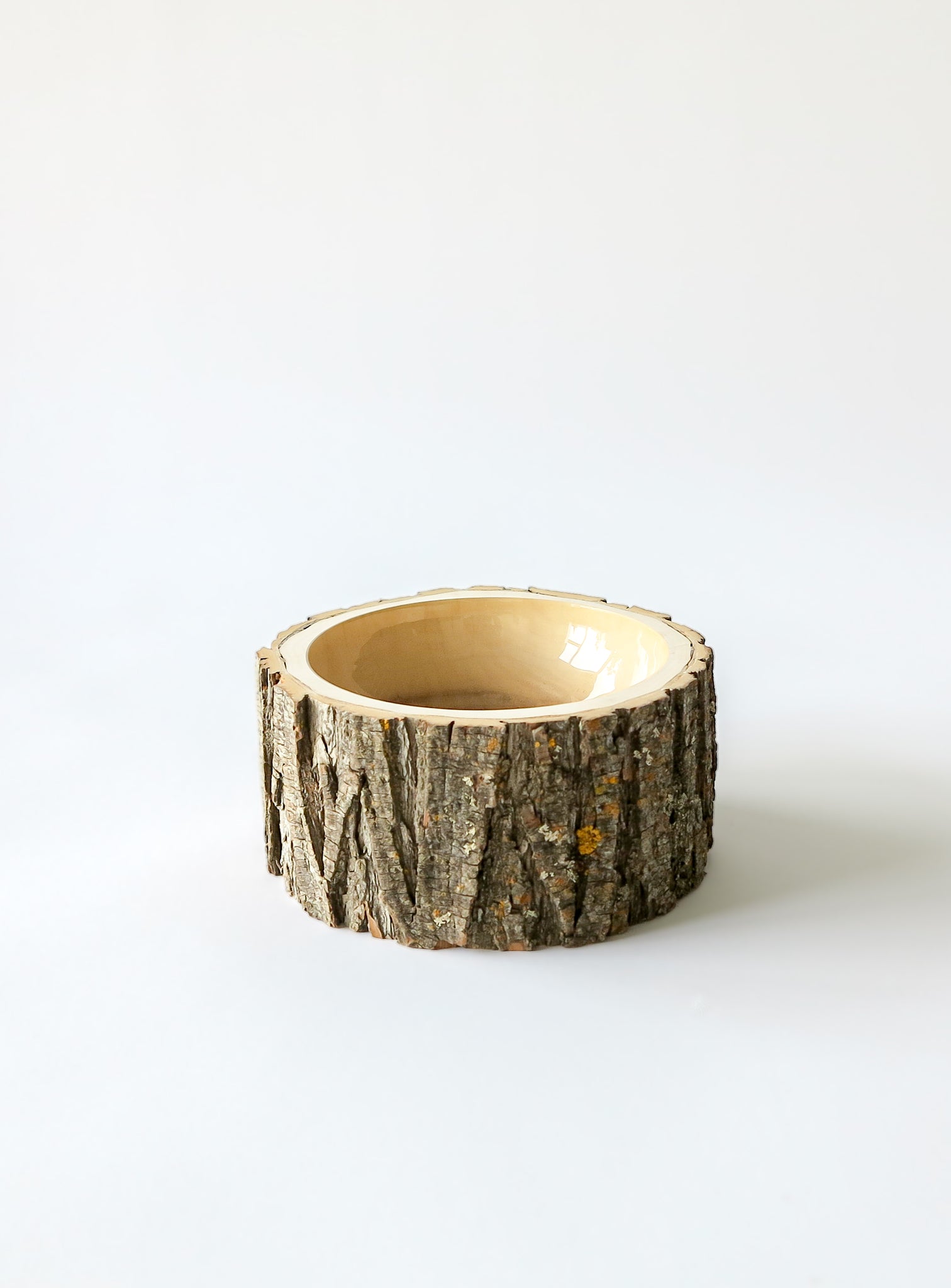 Log Bowl | Size 6 | Clear