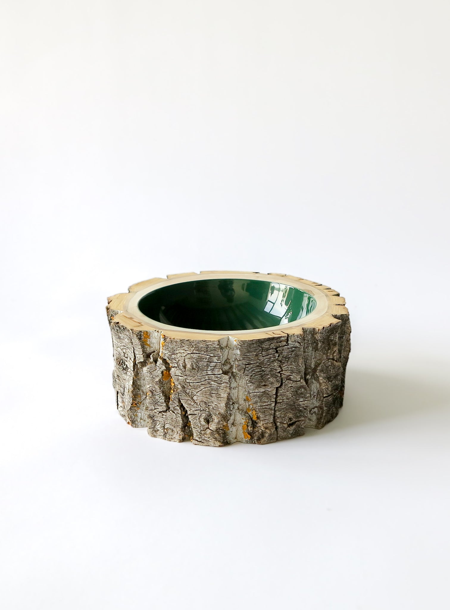 Log Bowl | Size 7 | Forest