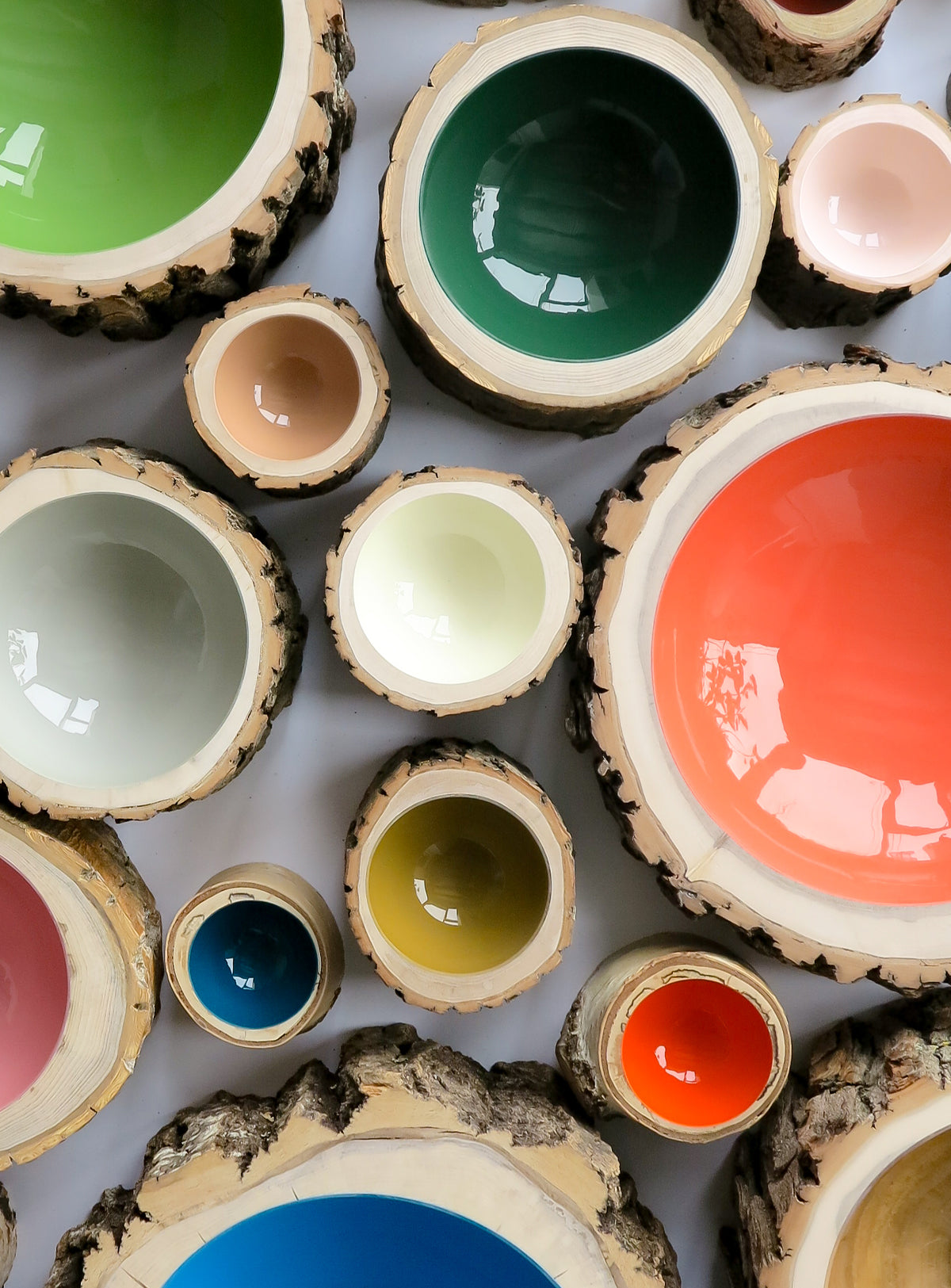 Log Bowl | Size 6 | Forest