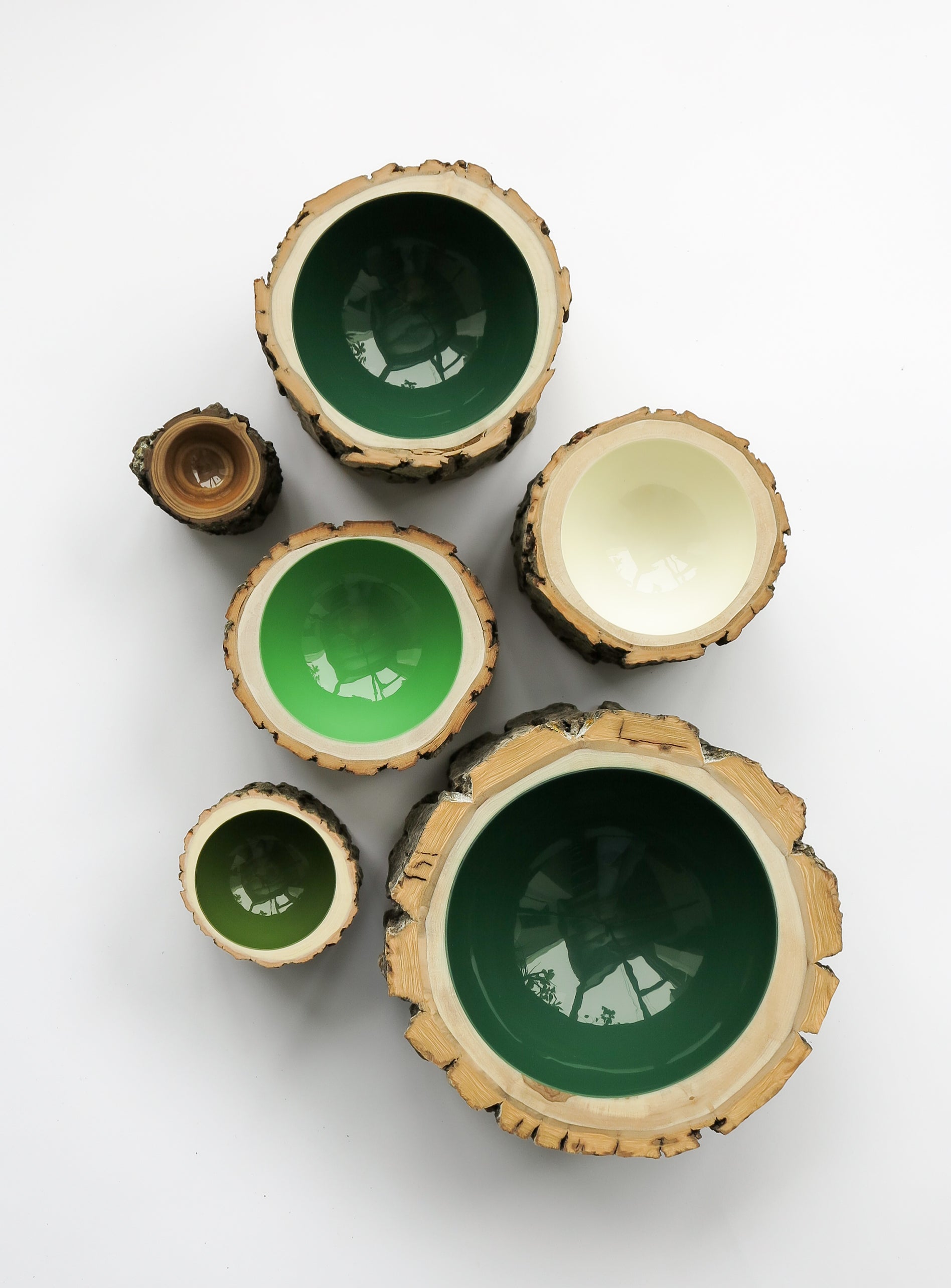 Log Bowl | Size 5 | Forest