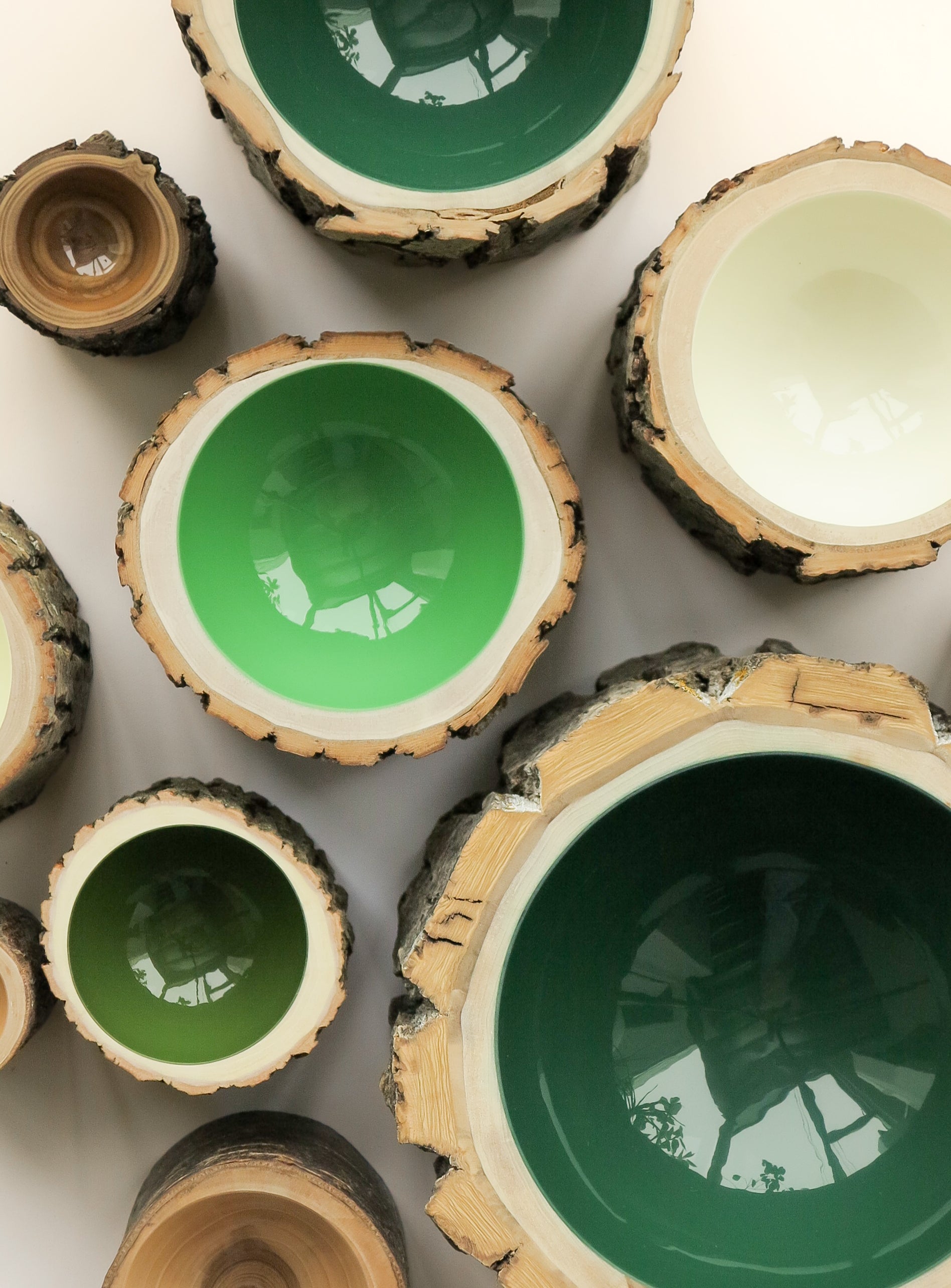Log Bowl | Size 5 | Forest