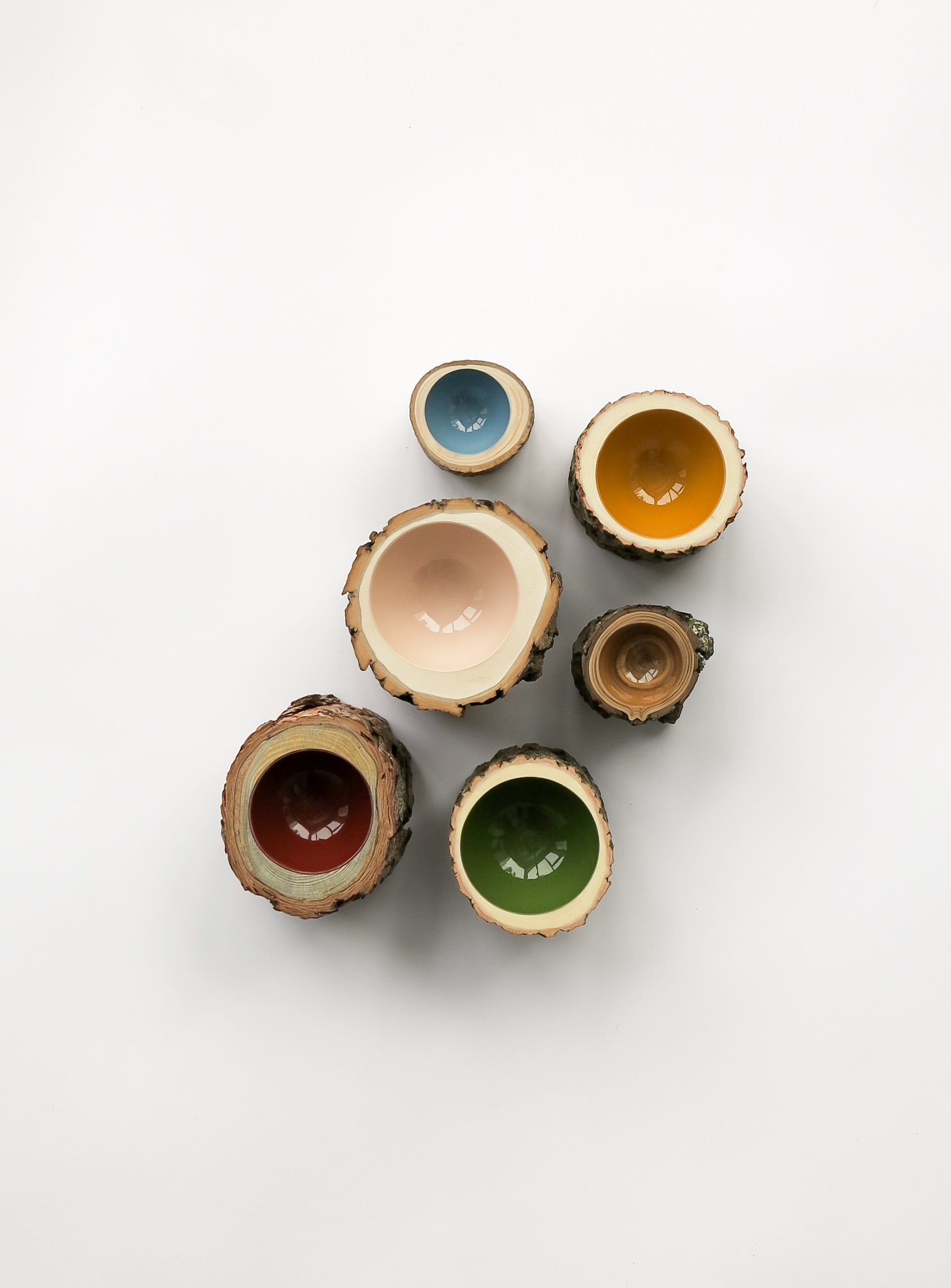 Log Bowl |  Size 2 | Clear
