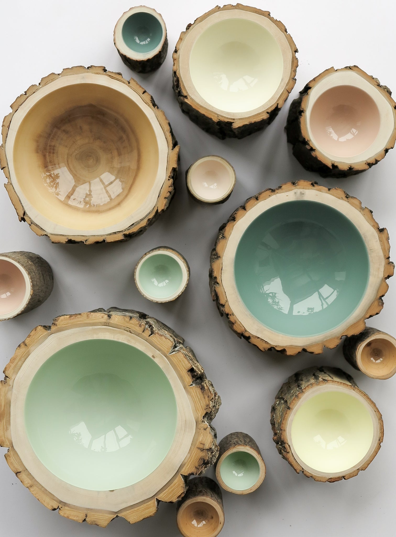 Log Bowl | Size 7 | Eucalyptus