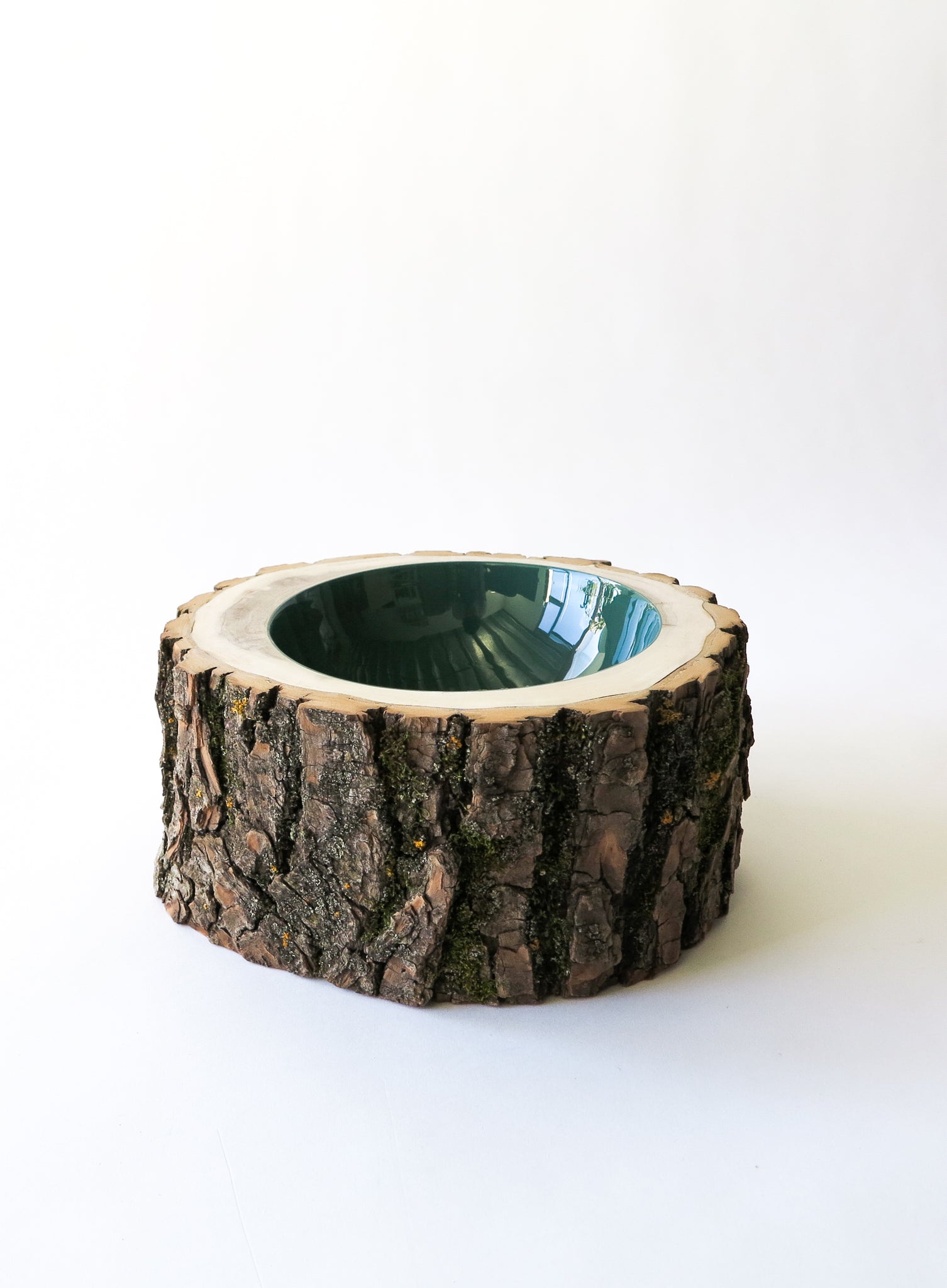 Log Bowl | Size 8 | Fir