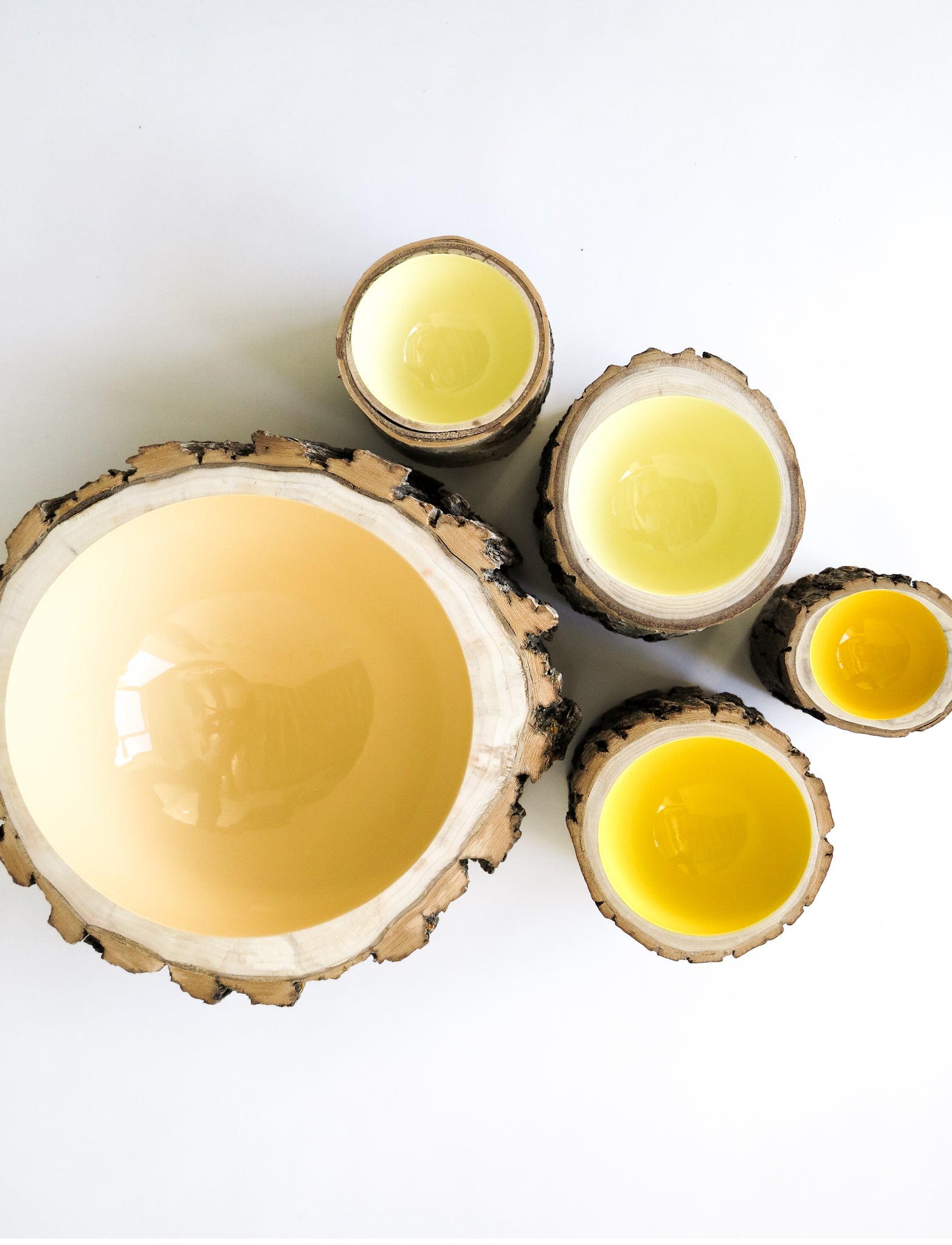Alternative shot of top view of five wood Log Bowls by Loyal Loot in a variety of bark varieties. Glossy interiors are varying shades of yellow including Hay, Lemon and Butter.