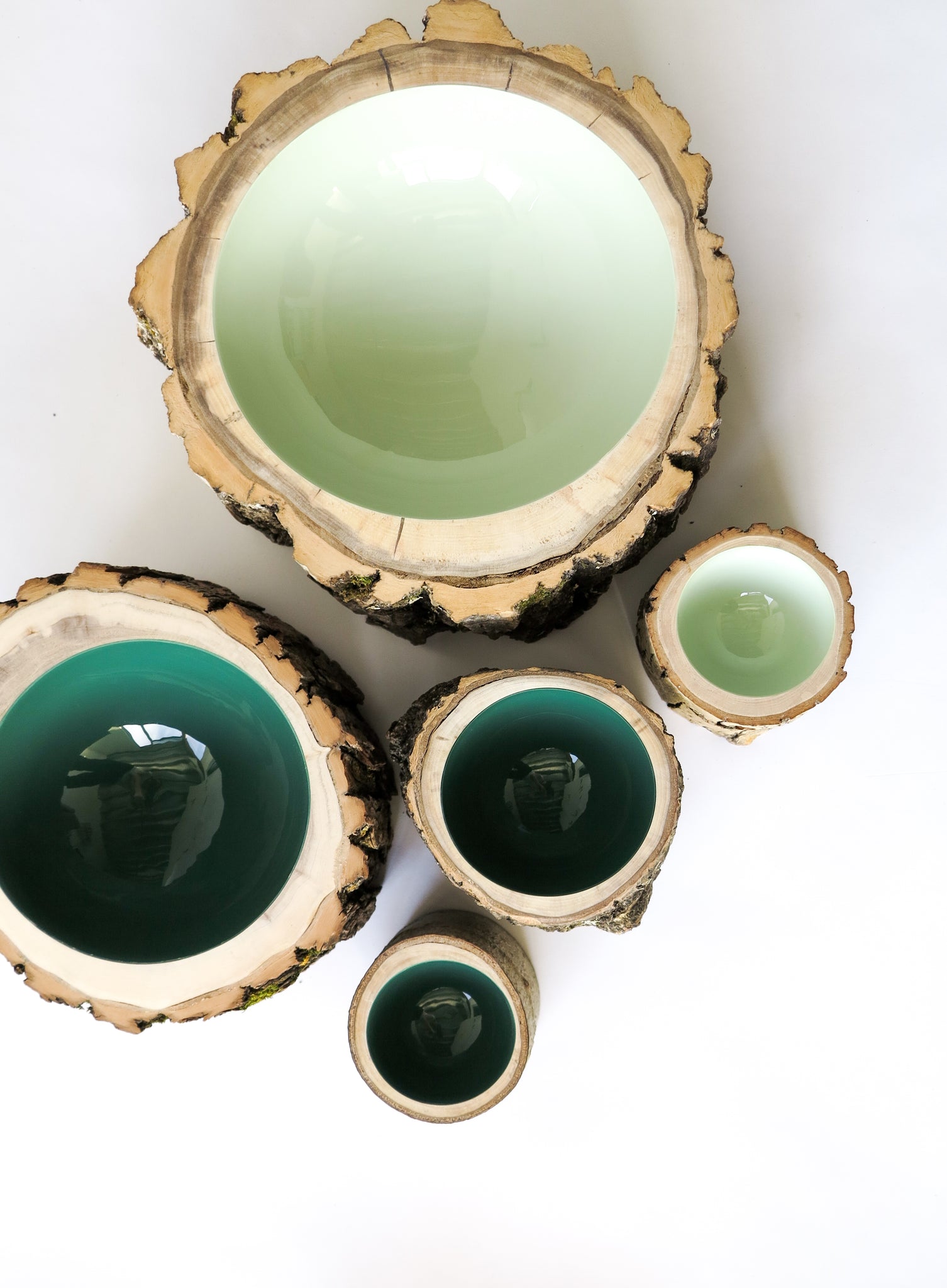 Top view of a group of 5 wooden Log Bowls by Loyal Loot.  Colours include shades of dark and light green.