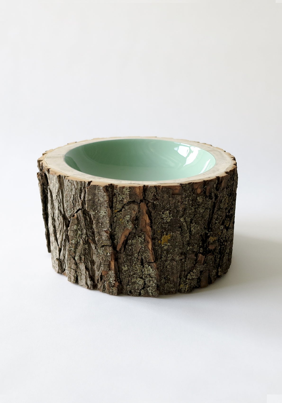 Size 10 Log Bowl - Large Wooden Bowl with rough bark, glossy interior is a pale sage blue/green..