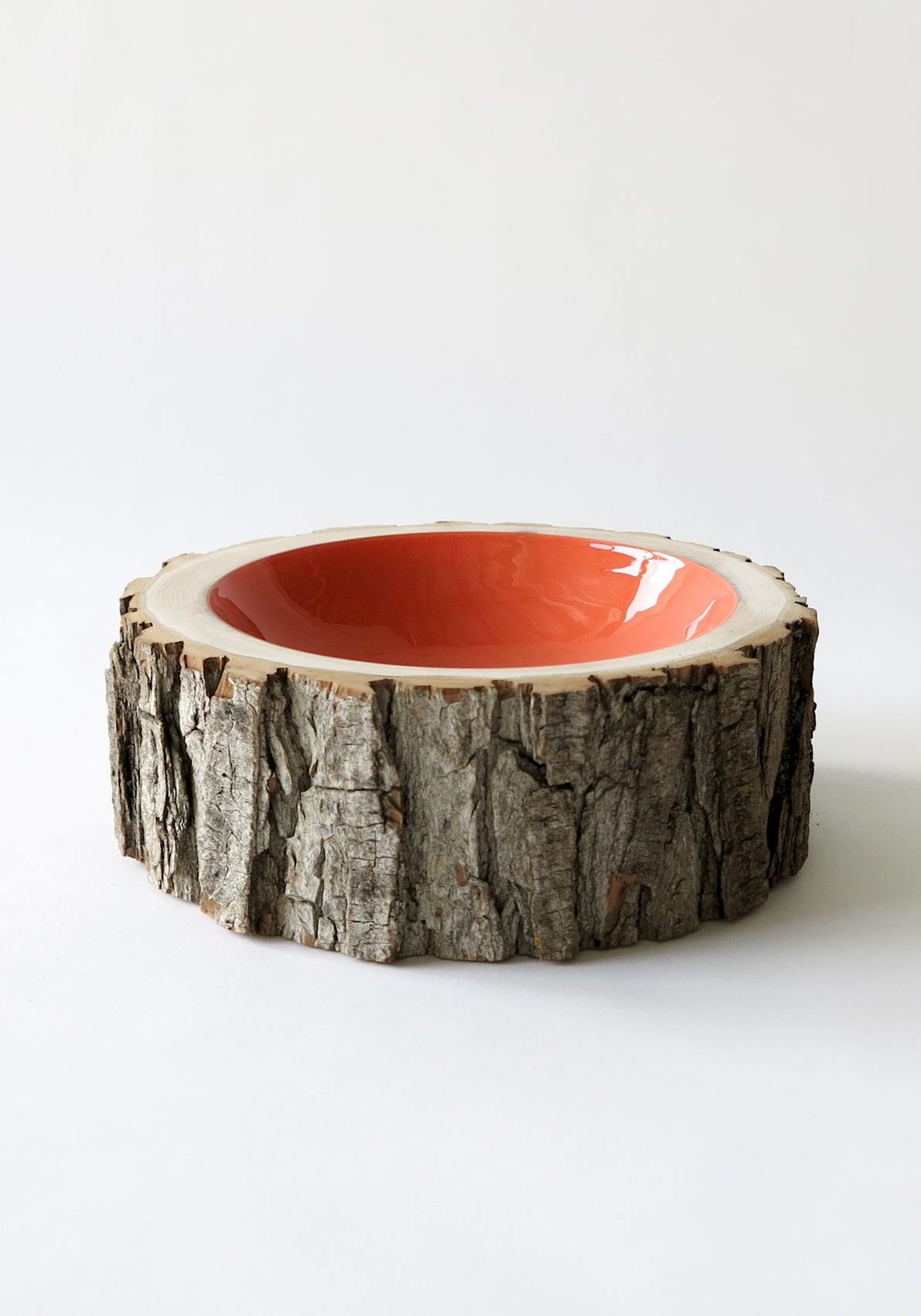 Size 11 Log Bowl - Extra Large Wooden Bowl with rough bark, glossy interior is a coral colour..