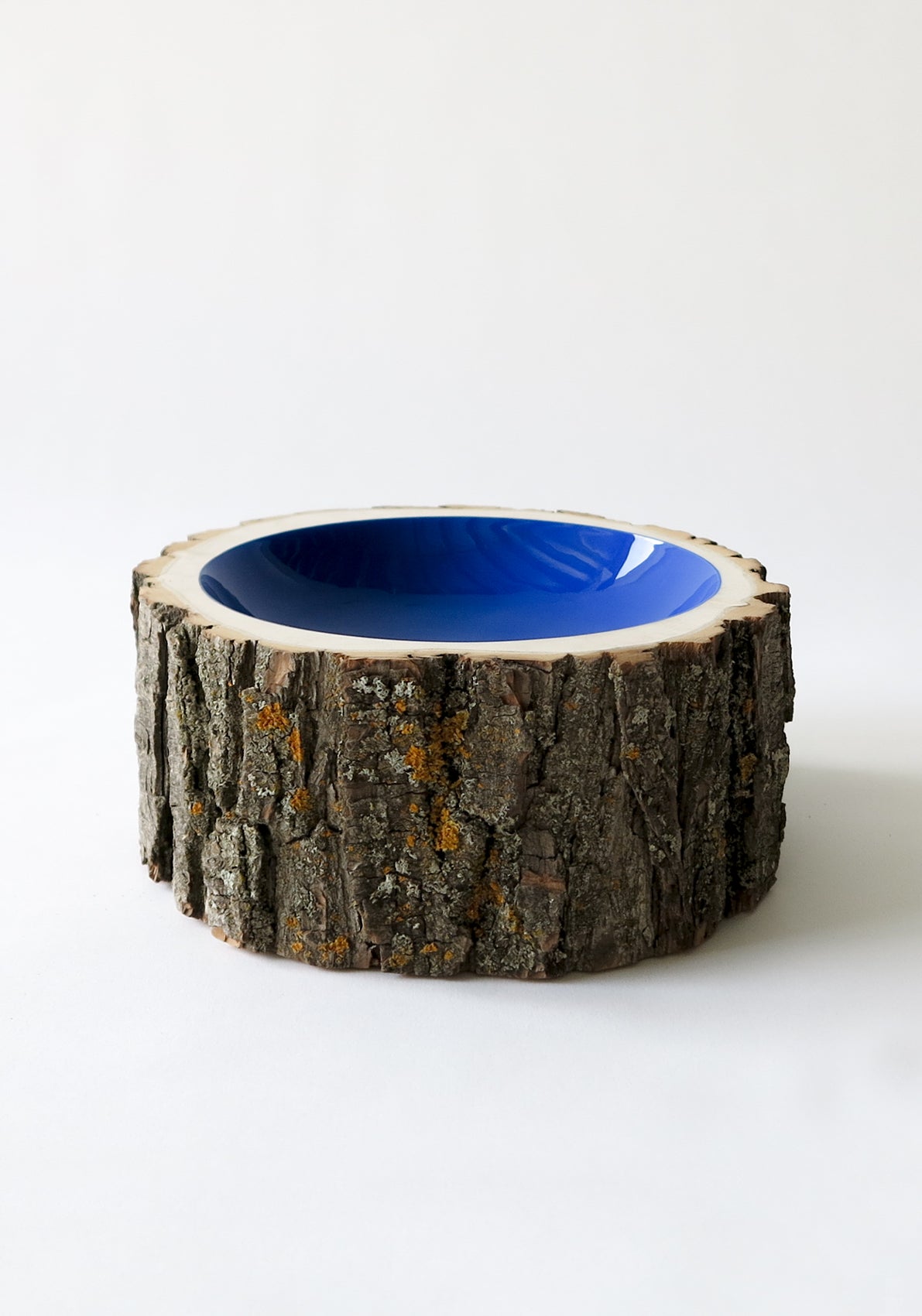Size 8 Log Bowl - large wooden bowl with rough willow bark, glossy interior is bright cobalt blue.