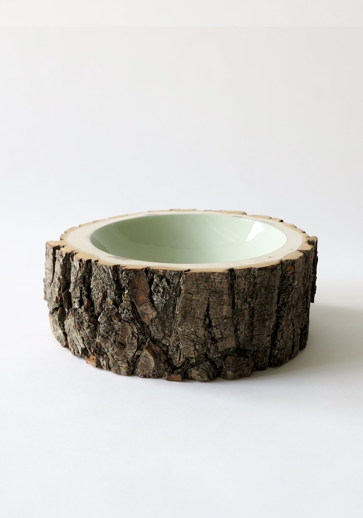 Size 9 Log Bowl - Large wooden bowl with rough willow bark, glossy interior is a pale eucalyptus green colour.