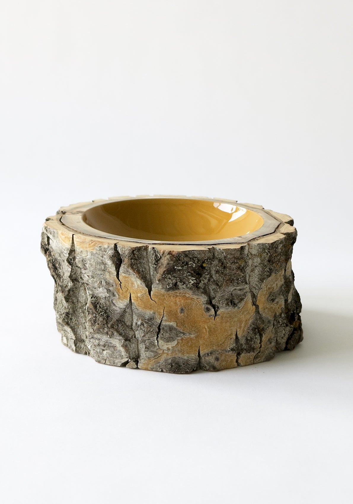 Size 9 Log Bowl - Large wooden bowl with chunky smooth poplar bark, glossy interior is a yellow ochre colour.