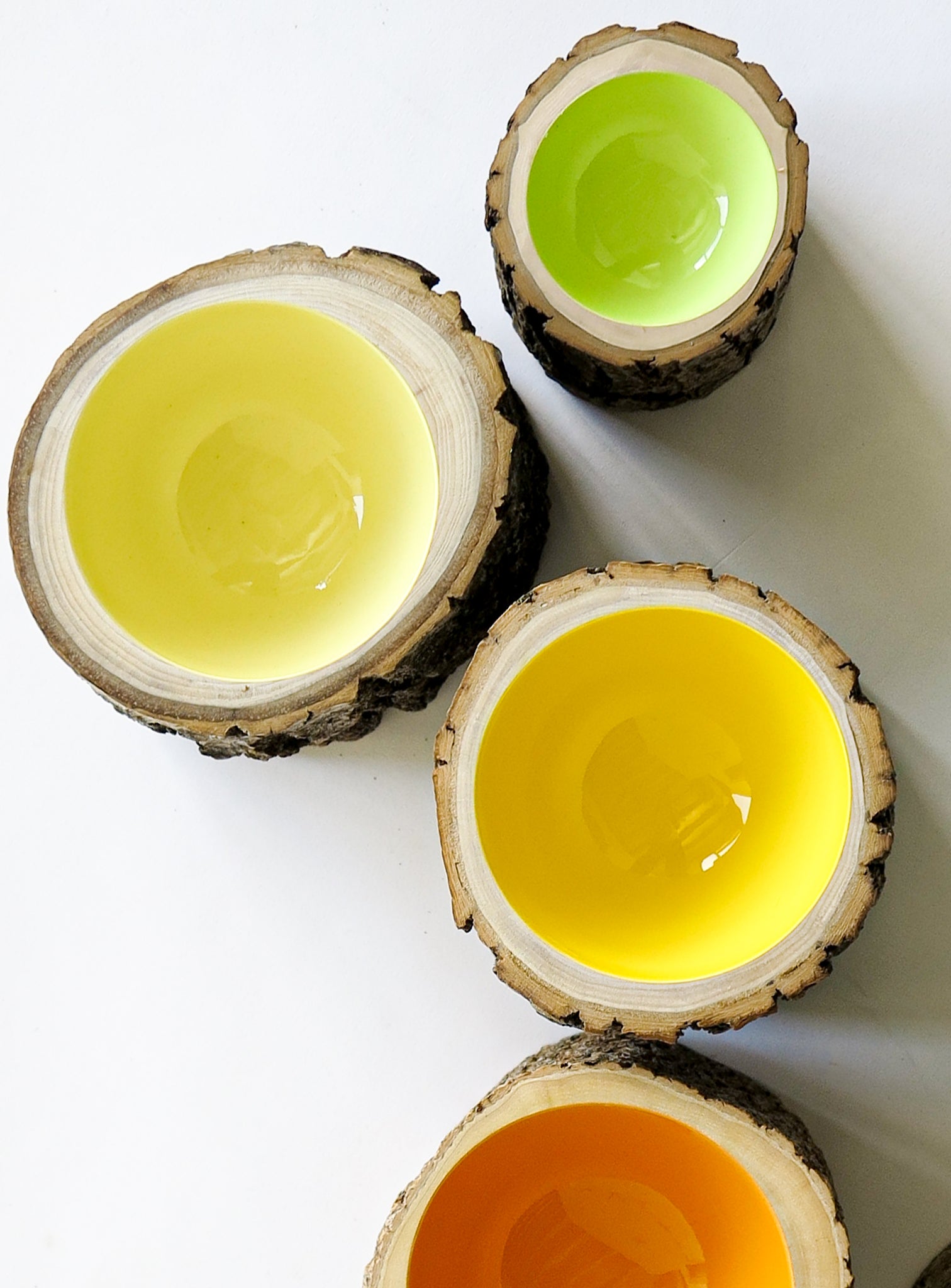 Top view of four wood Log Bowls with Loyal Loot in various sizes.  Colours are Celery green, Lemon and Butter yellow, and mandarin orange.