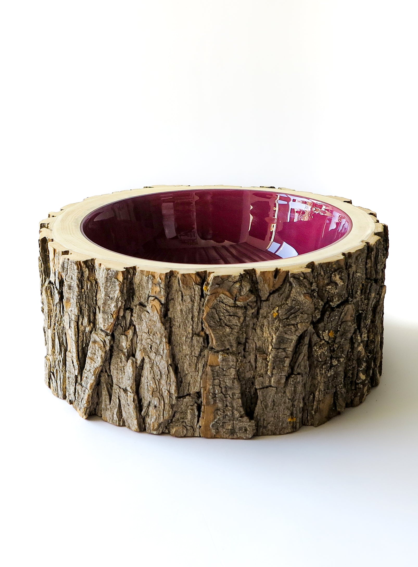 close up view of 3/4 front view of Size 10 Log Bowl - Large Wooden Bowl with rough Willow bark, glossy interior is a translucent deep magenta colour.