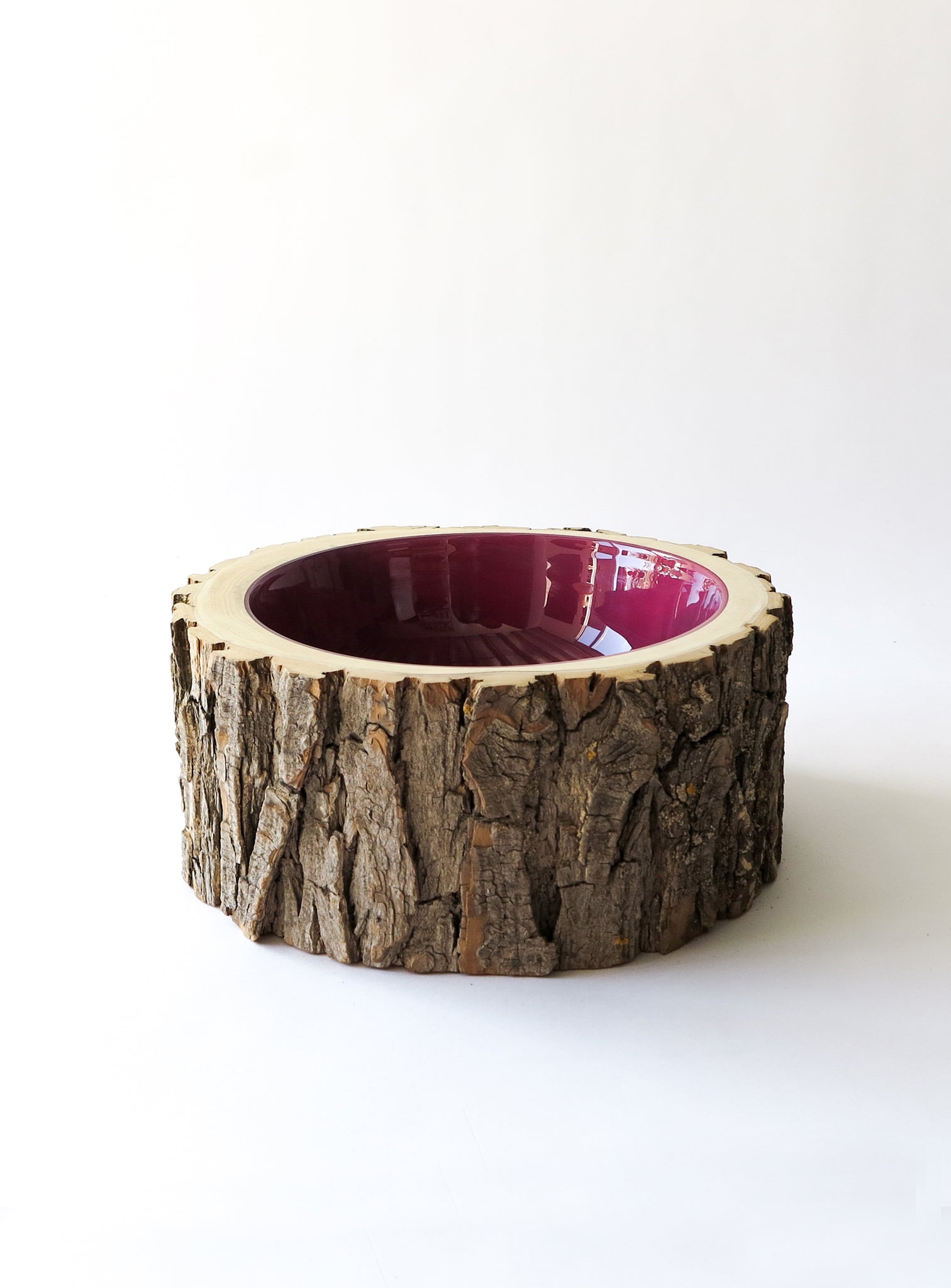 3/4 front view of Size 10 Log Bowl - Large Wooden Bowl with rough Willow bark, glossy interior is a translucent deep magenta colour..