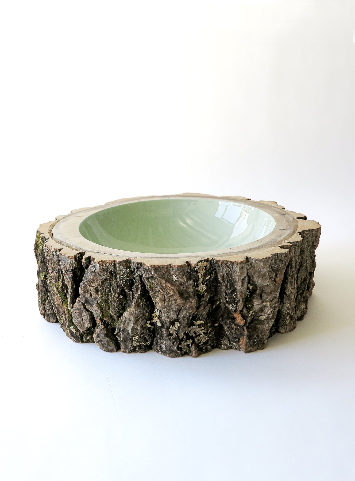 3/4 front view of Size 11 Eucalyptus Log Bowl by Loyal Loot - Large Wooden Bowl with rough Willow bark, glossy interior is a light serene green colour.