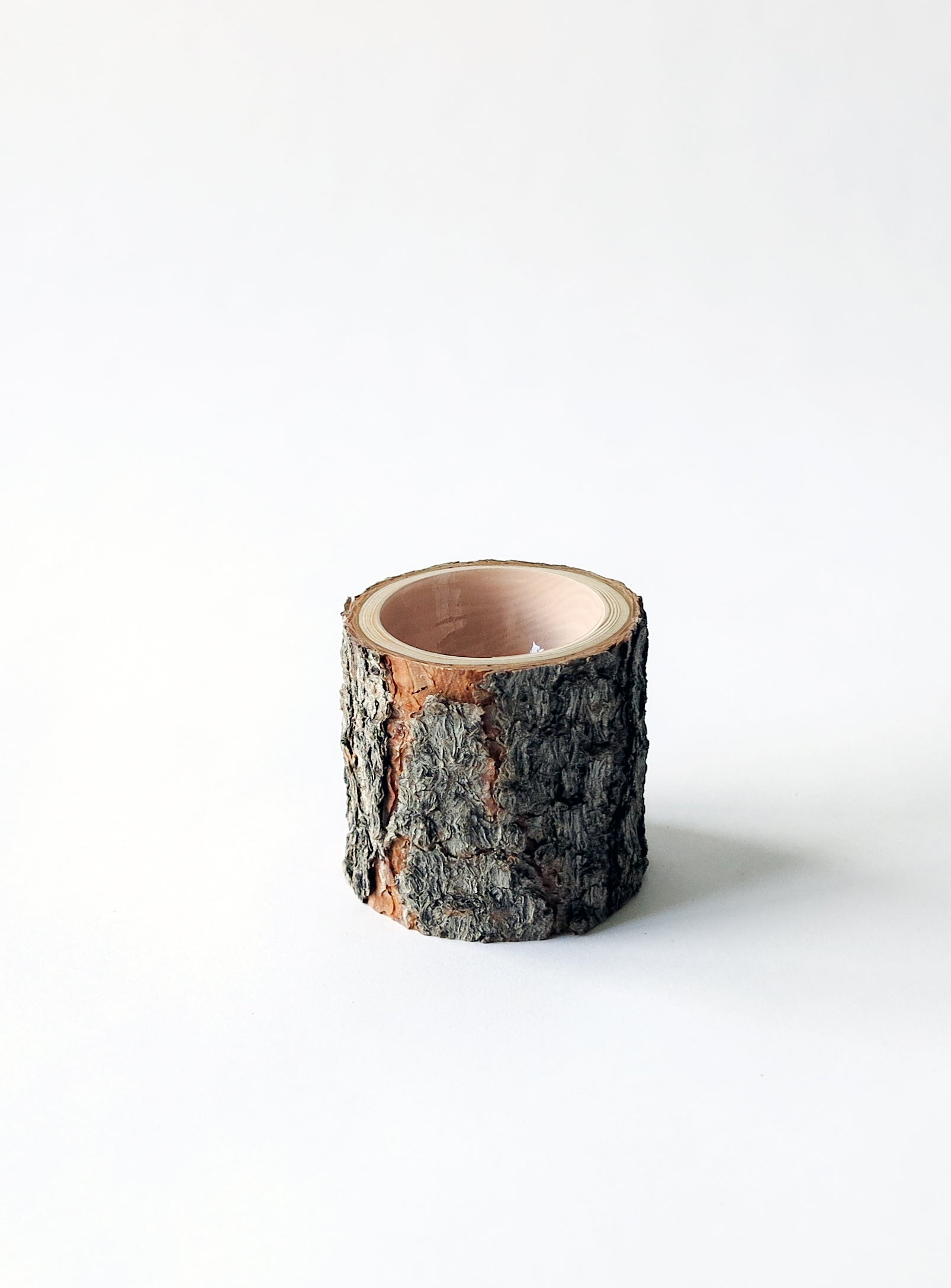 Size 2 Log Bowl - extra small wooden bowl with pine bark, glossy interior is a beige sandalwood colour.